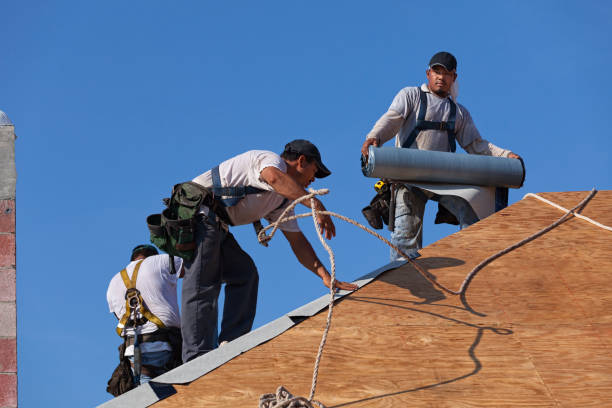 Best Storm Damage Roof Repair  in Youngsville, NC